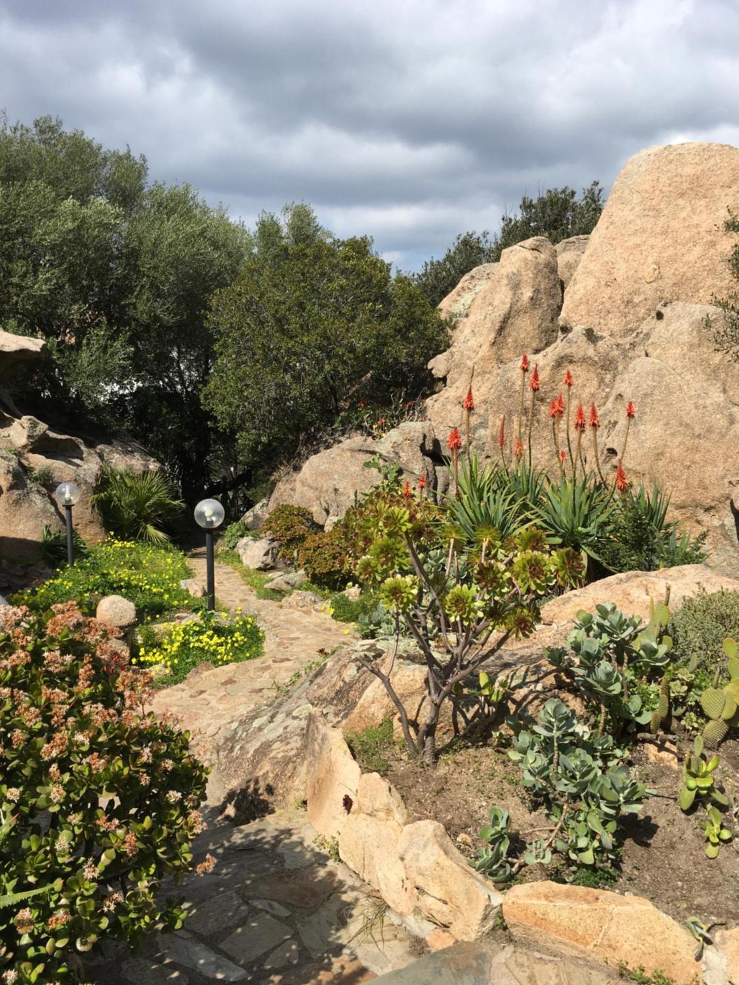 L'Olivastro Appartamenti A Porto Cervo Exterior foto