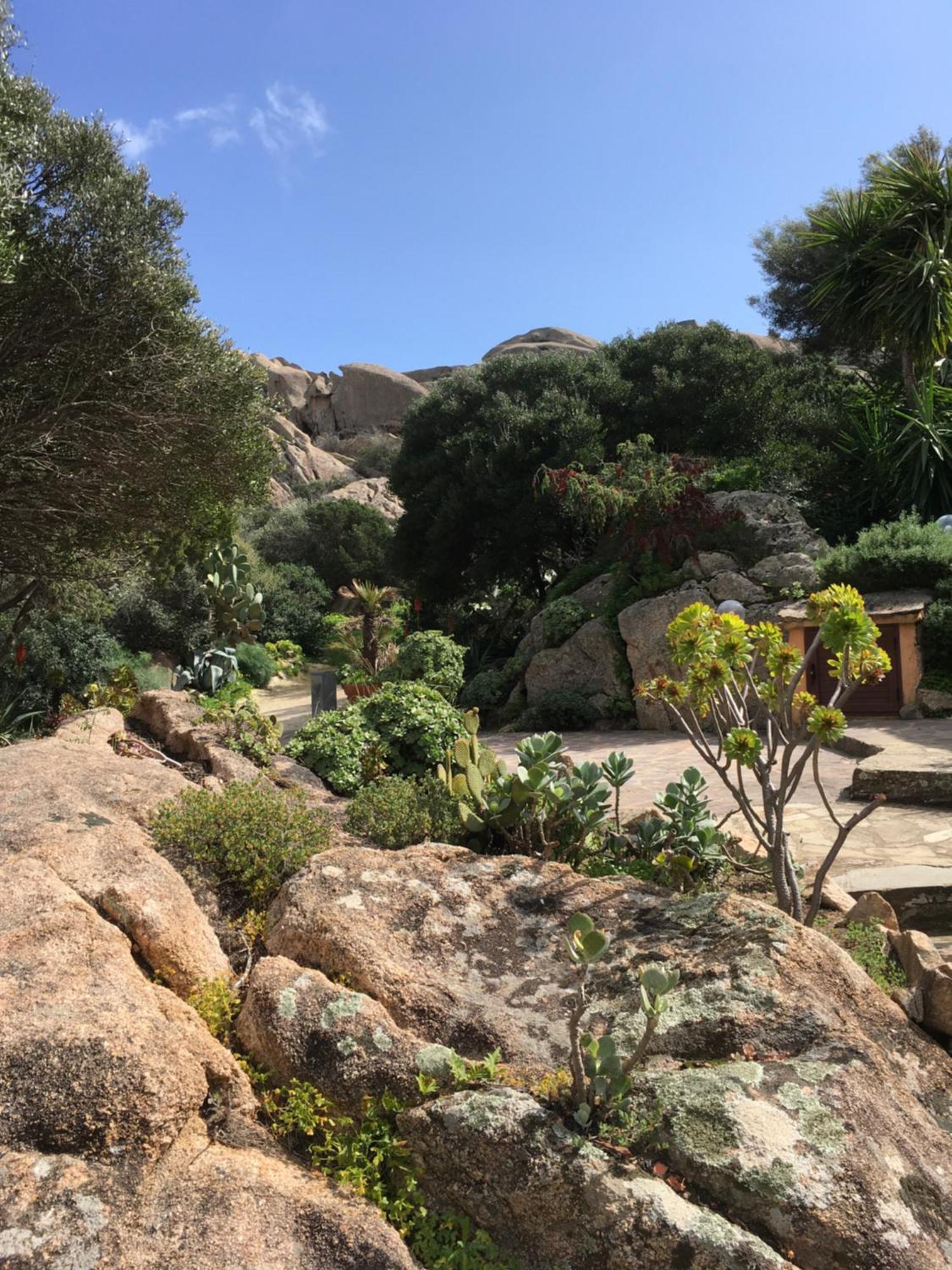 L'Olivastro Appartamenti A Porto Cervo Exterior foto